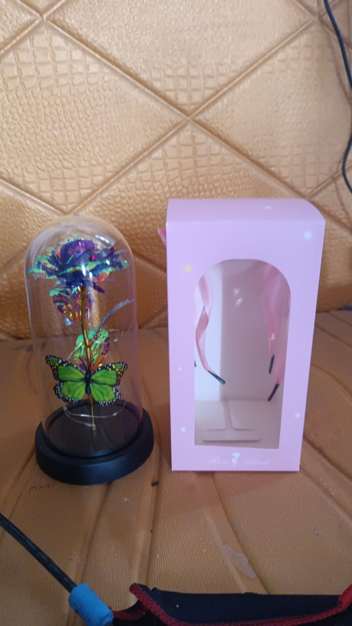 LED Preserved Rose with Colorful Butterfly in Plastic Dome (1 Pc & Mix Color) LED Preserved Rose with Colorful Butterfly in Plastic Dome (1 Pc & Mix Color)